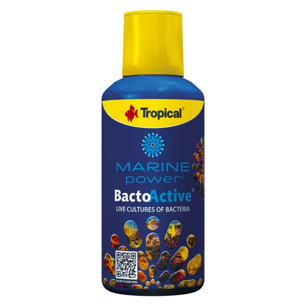 Marine Power Bacto-Active
