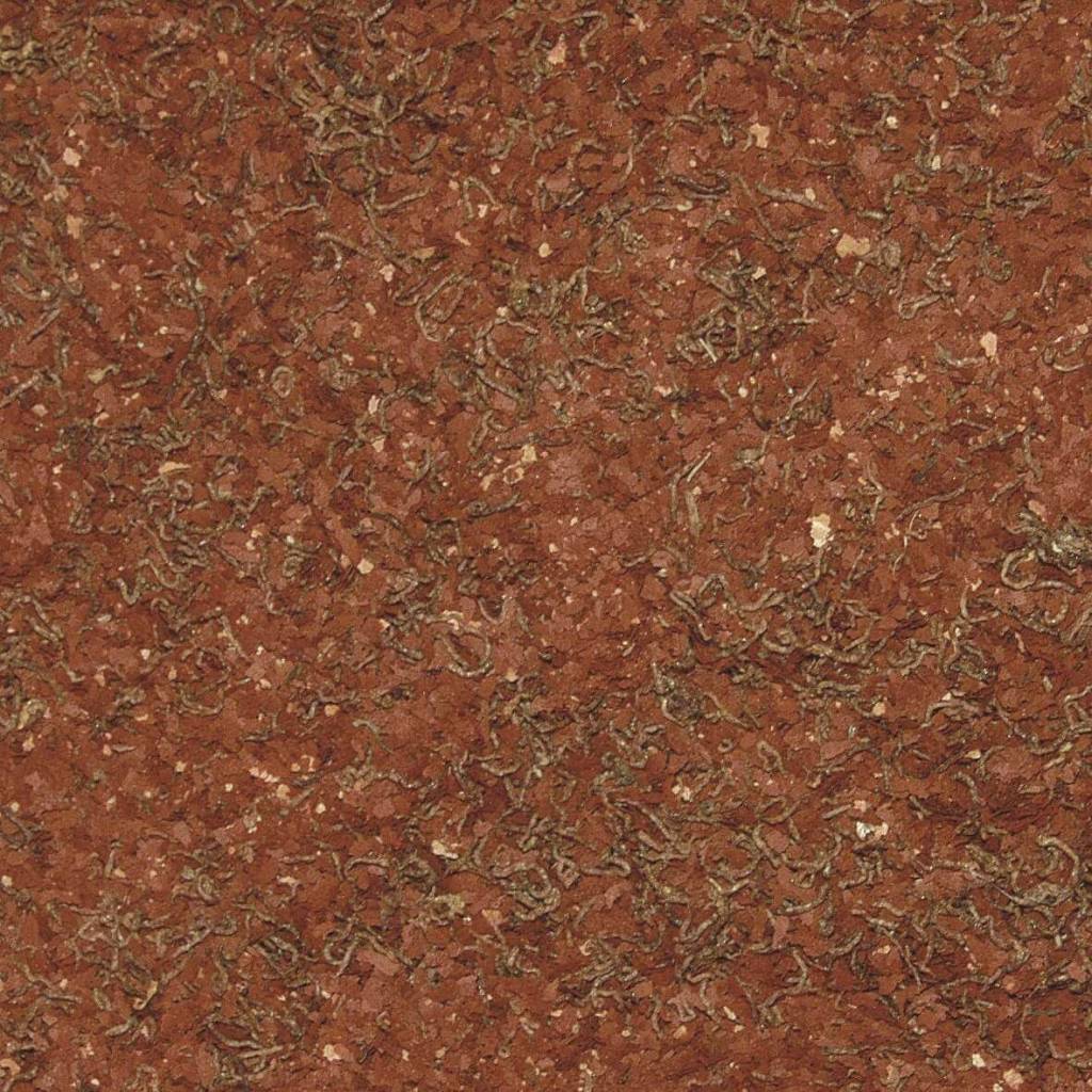 Betta