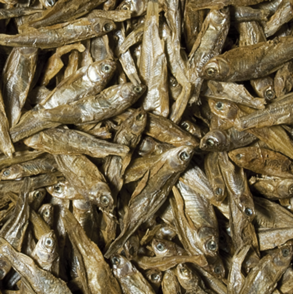 Dried Fish
