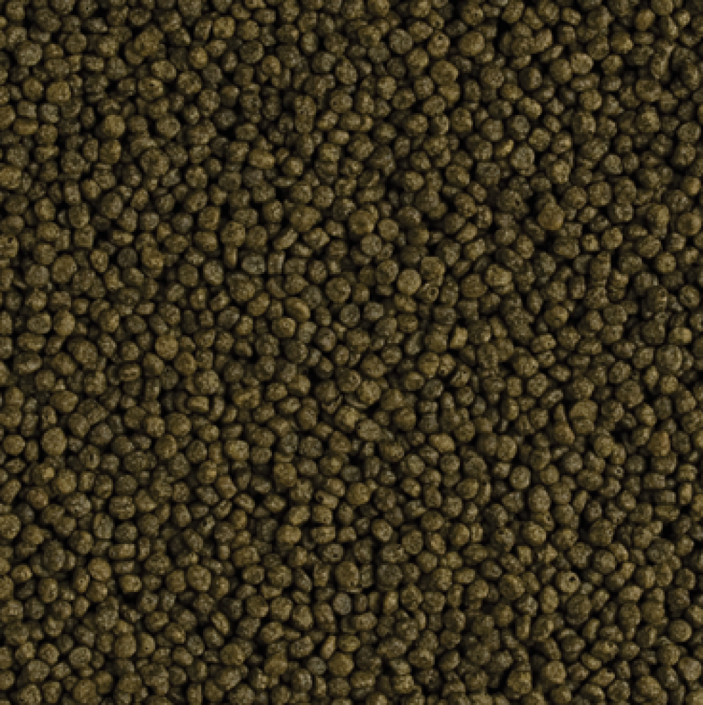 Flower Horn Young Pellet