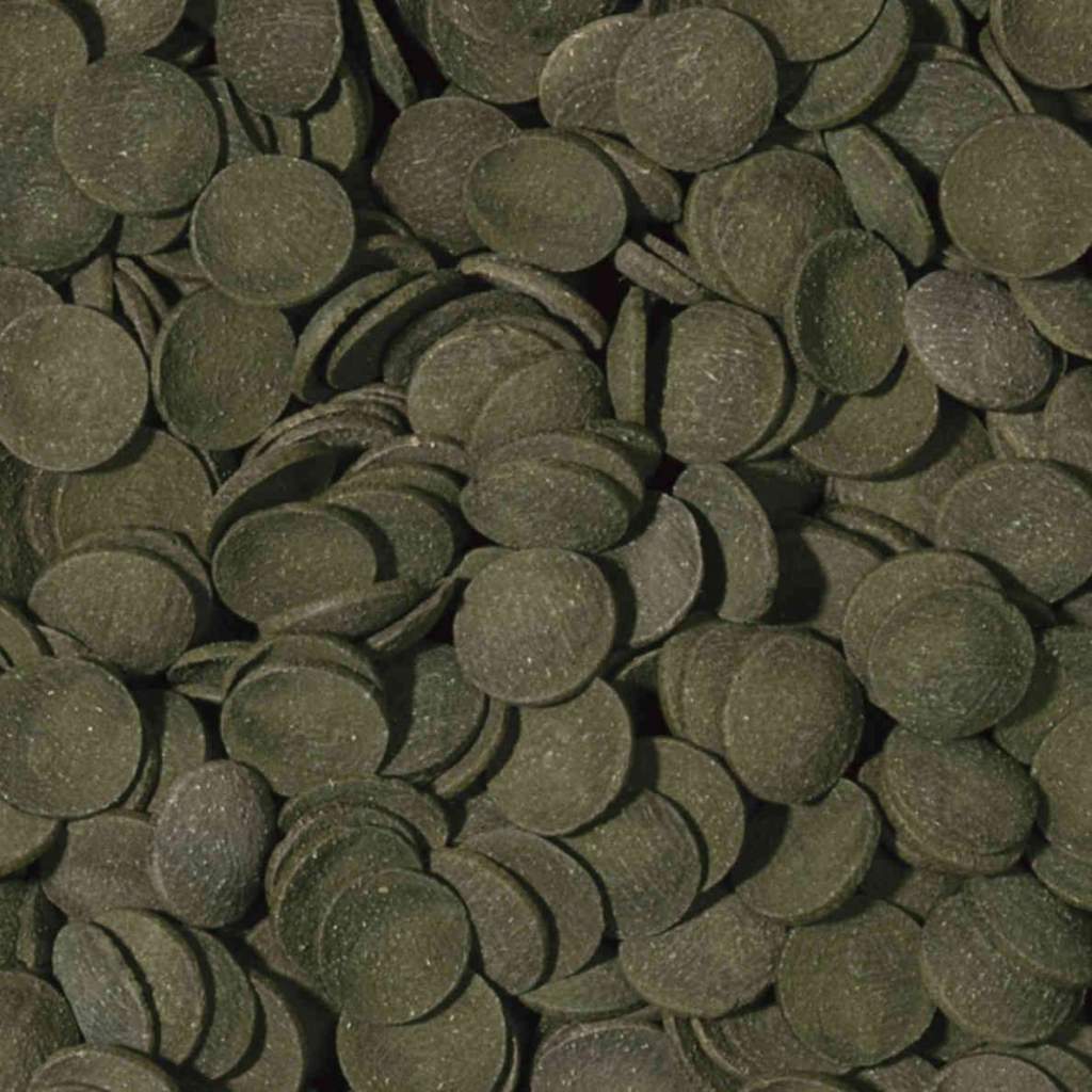 Green Algae Wafers