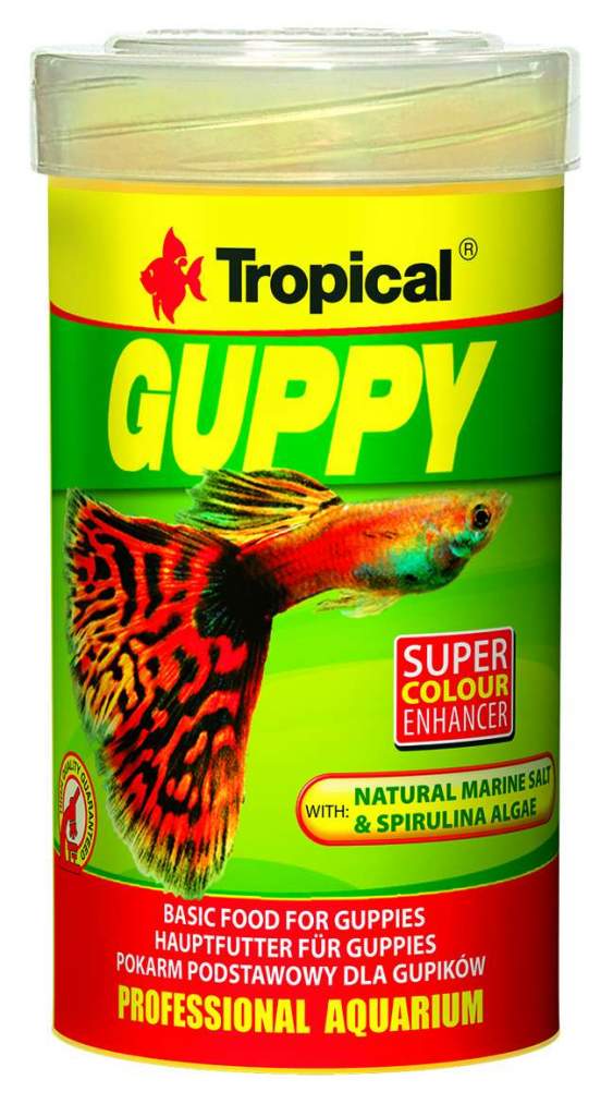 Guppy
