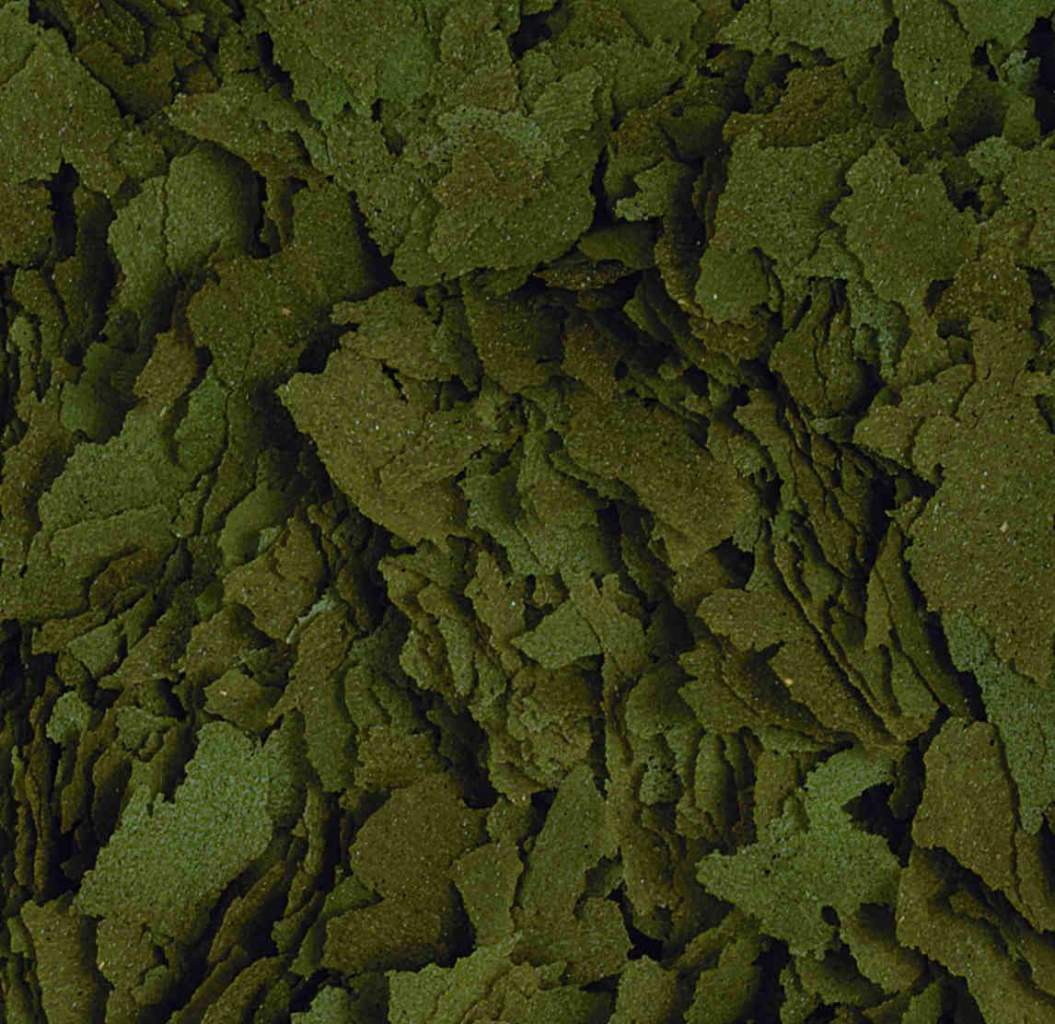 Spirulina Flakes