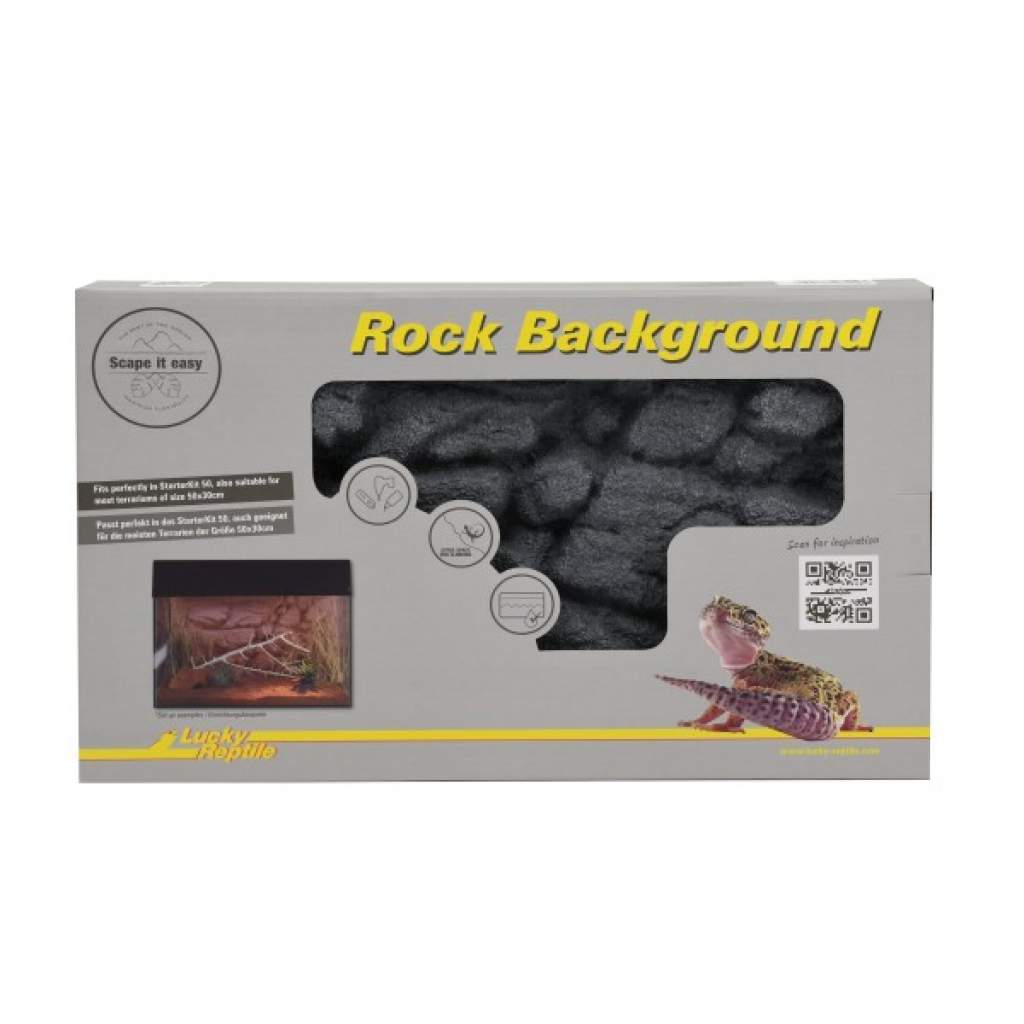 Rock Background