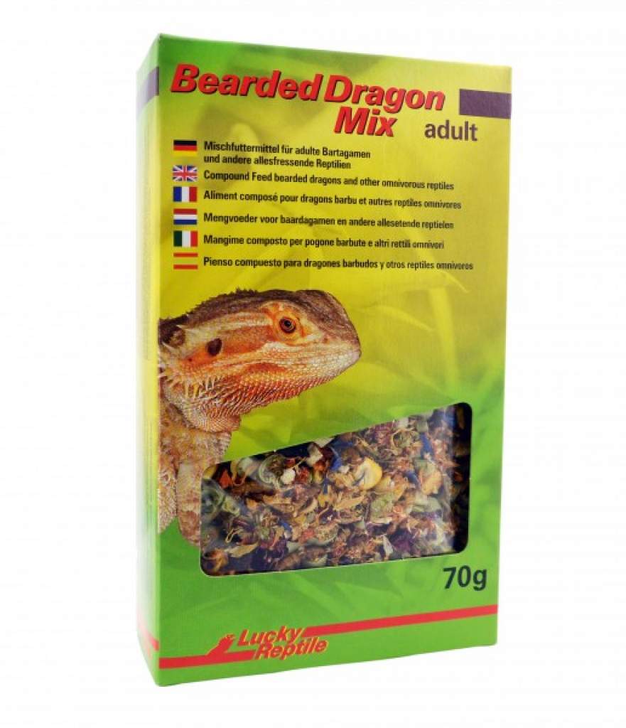 Lucky Reptile Bearded Dragon