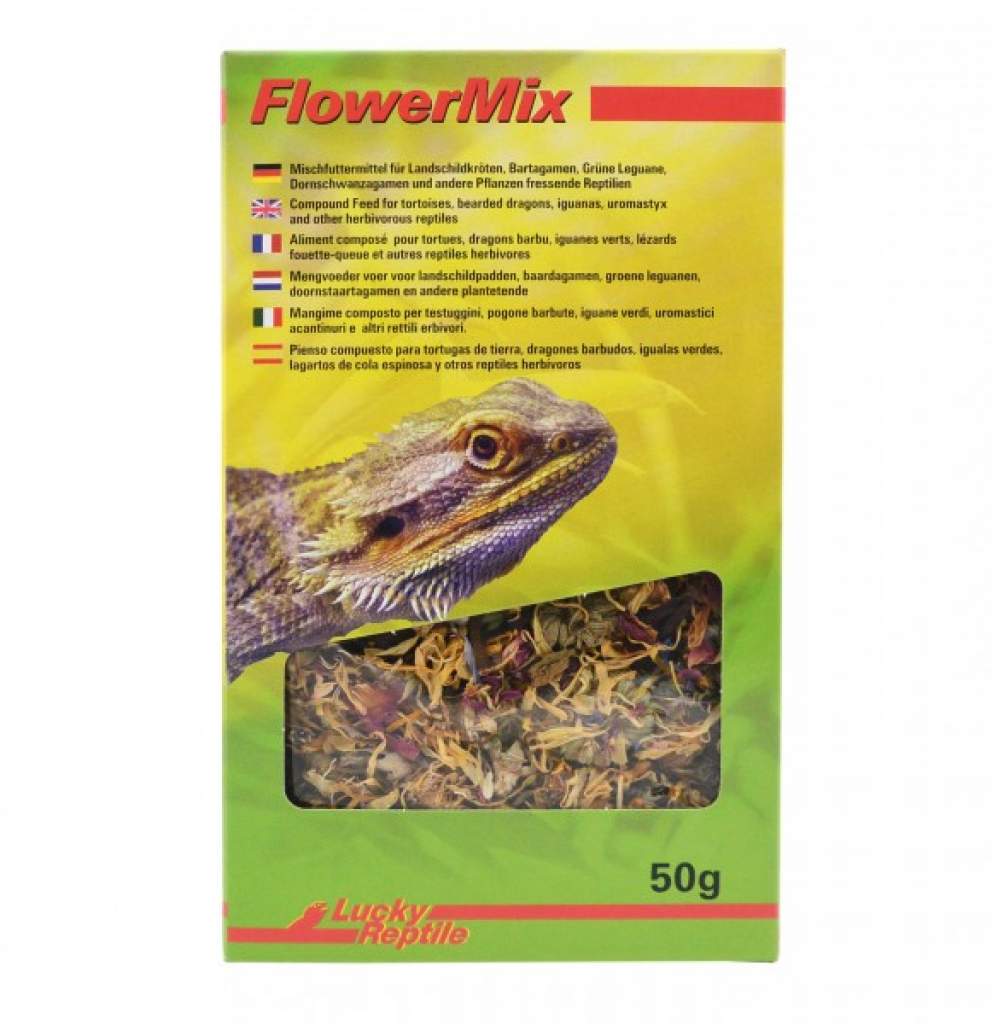 Lucky Reptile - Flower Mix