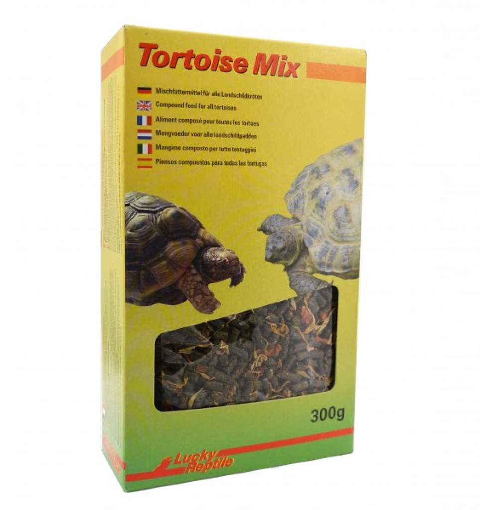 Lucky Reptile Tortoise Mix