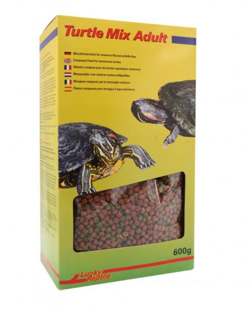 Lucky Reptile Turtle Mix Adult