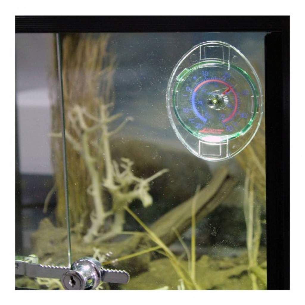Lucky Reptile Glas Thermometer