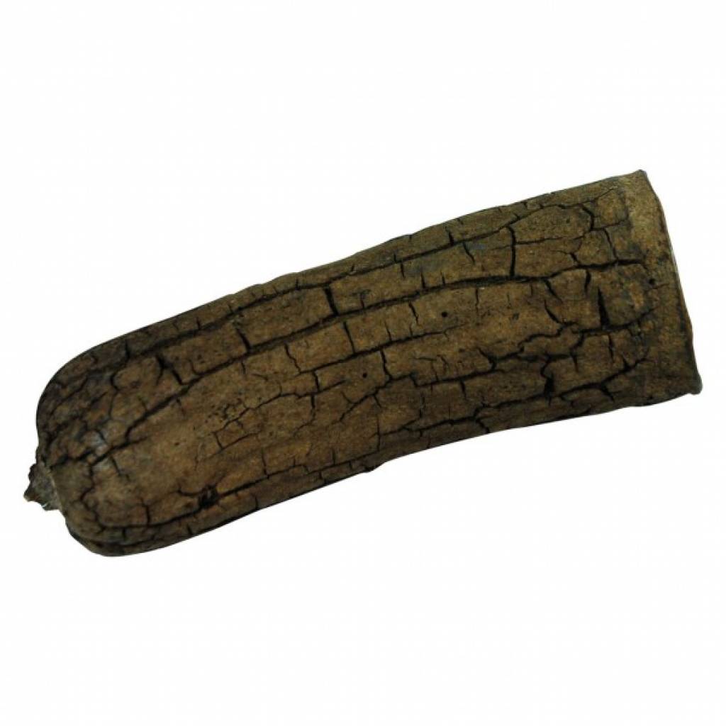 Lucky Reptile Nature`s Treasure