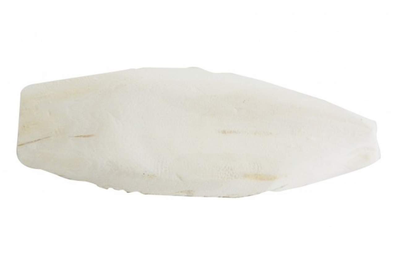 Lucky Reptile Sepia Bone