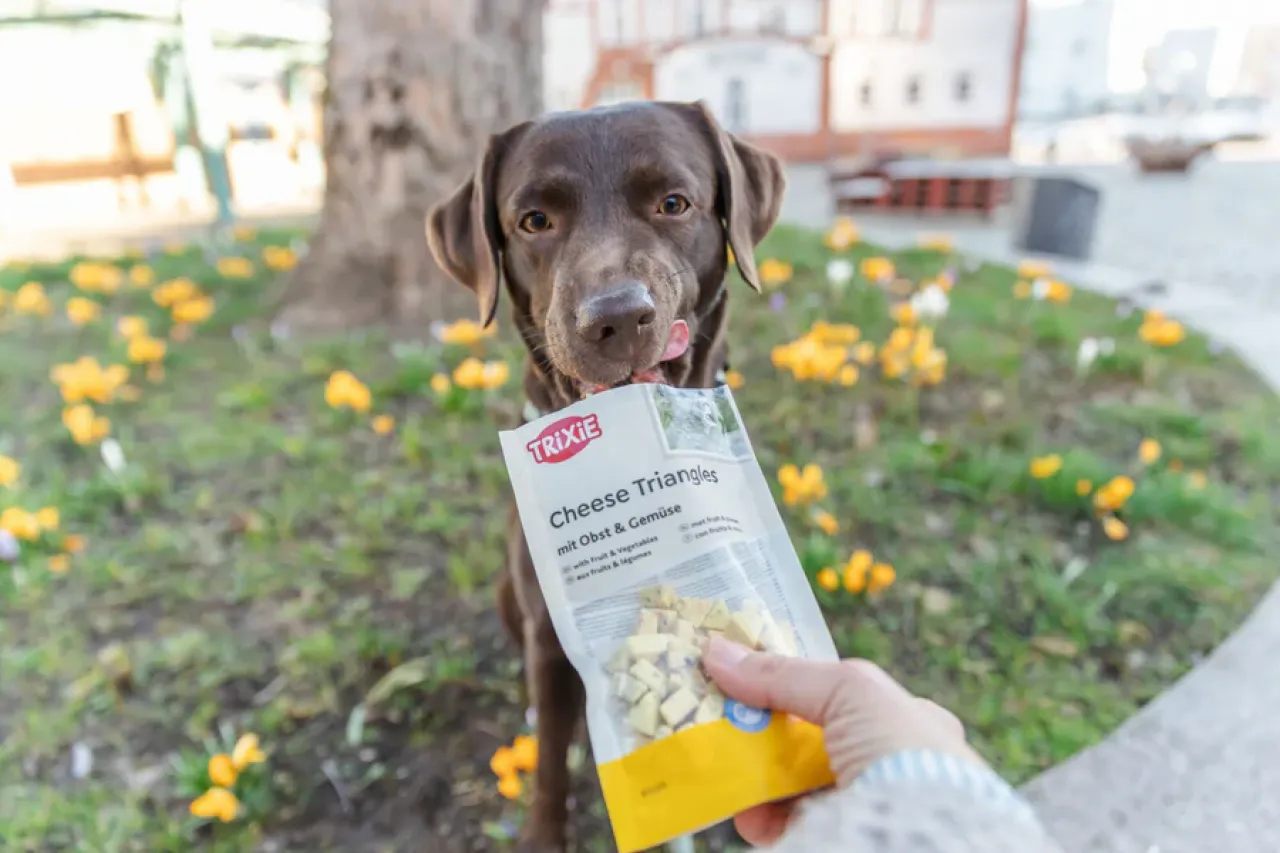 Cheese Triangles, vegetarischer Hundesnack mit Käse, Obst und Gemüse