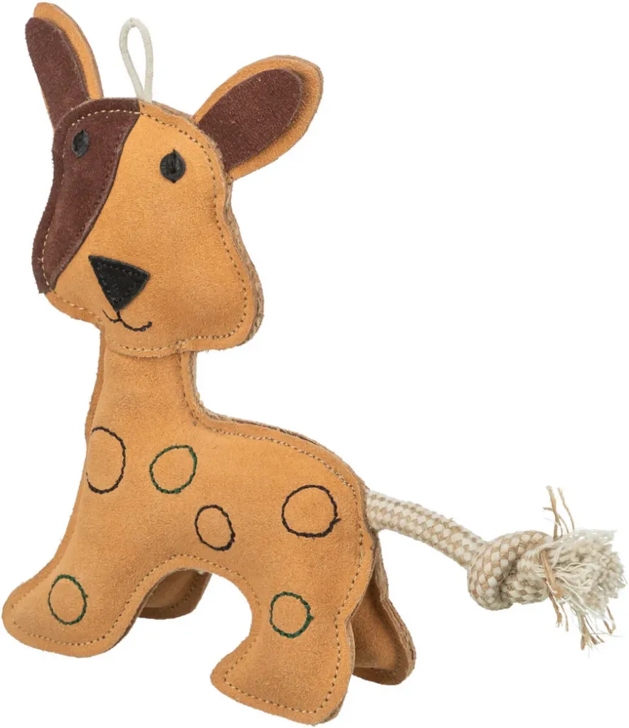 Hund