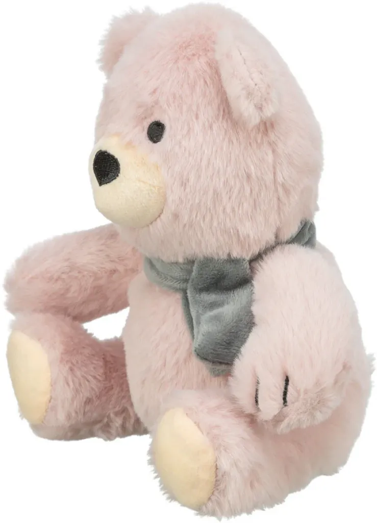 Teddy