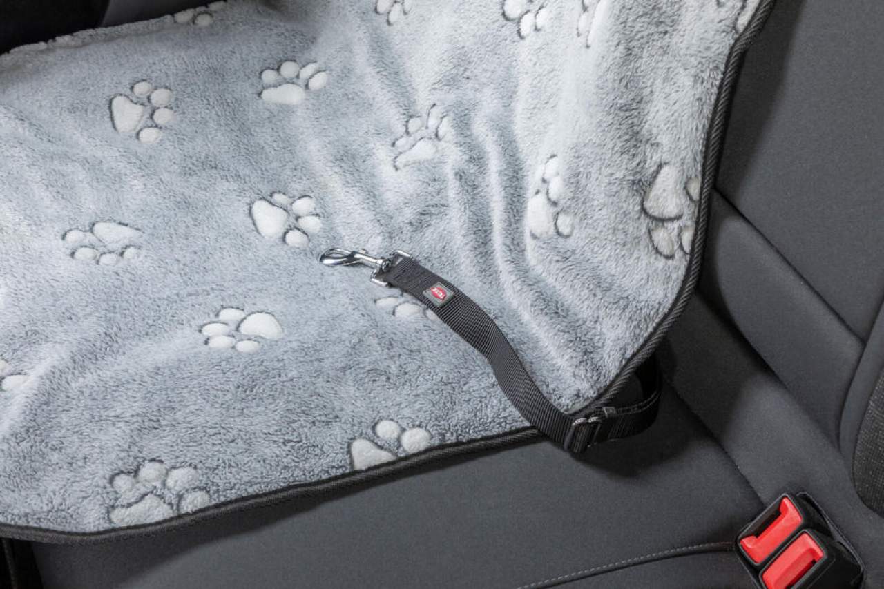 Auto-Schondecke