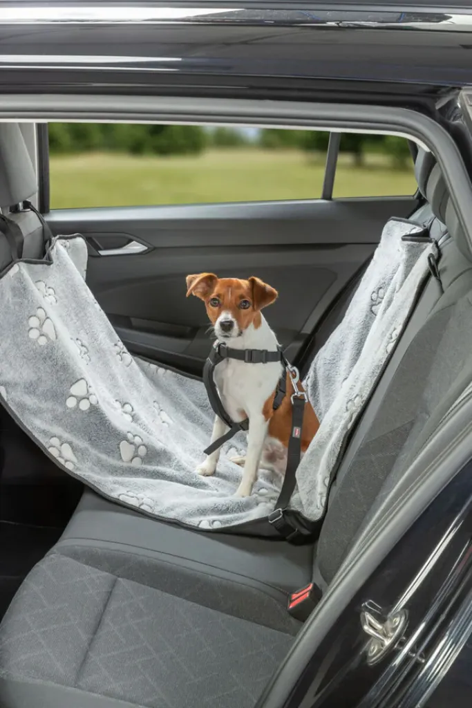 Auto-Schondecke