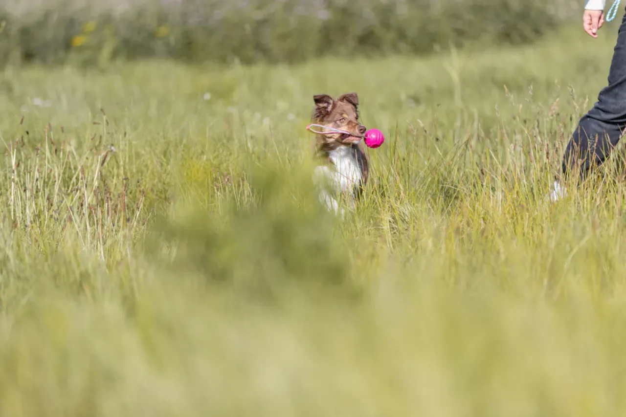 Hundespielzeug Soft & Strong TPR Ball am Gurt