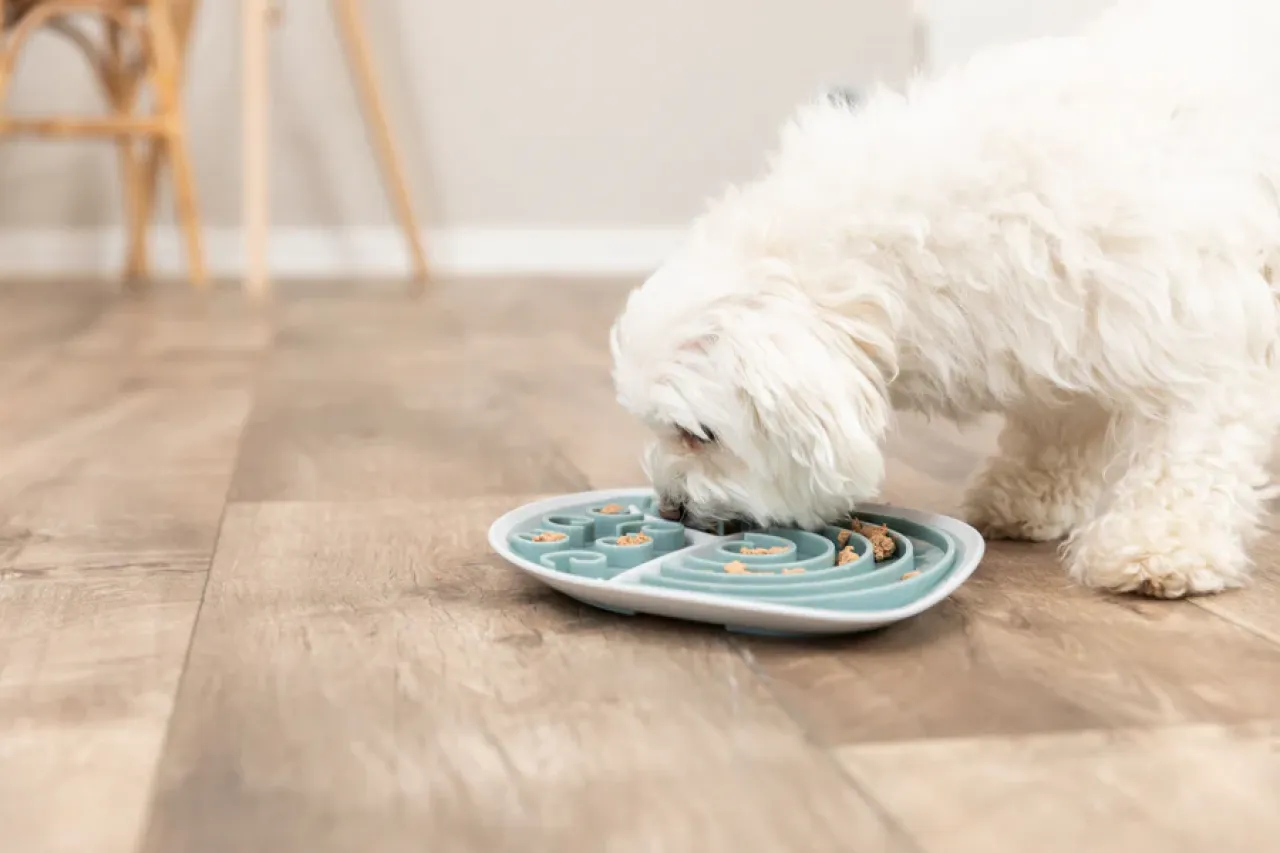 Lick’n'Snack Schleckplatte