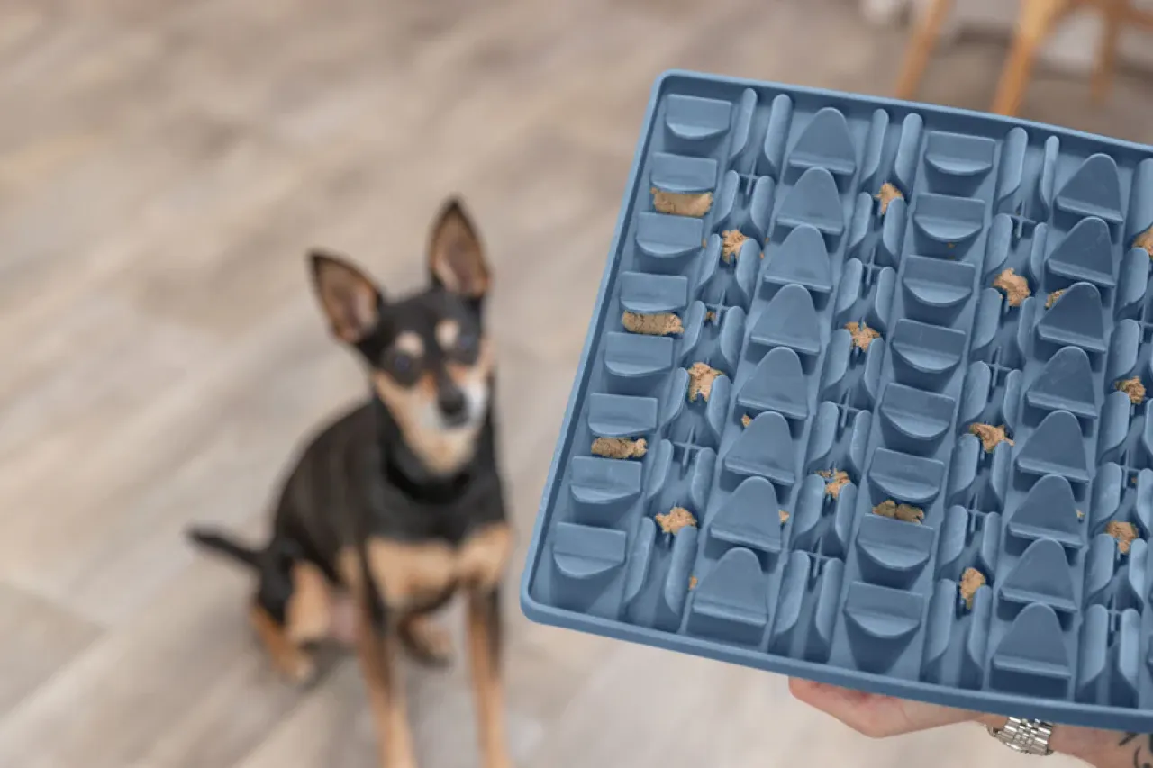 Lick’n'Snack Matte