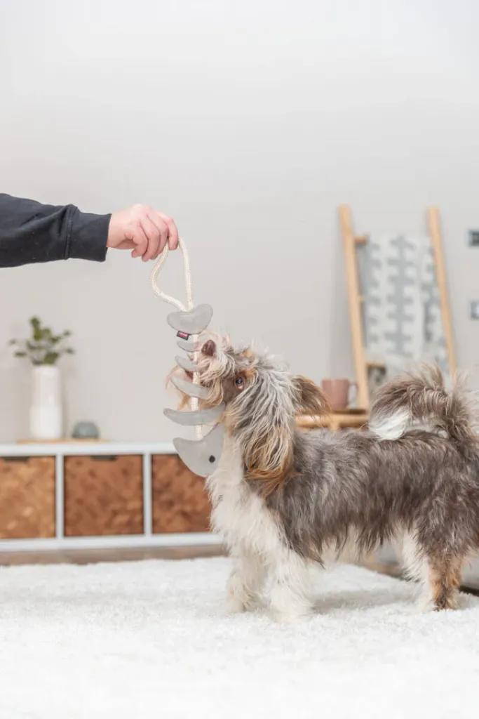 Hundespielzeug Echtleder Fischgräte am Tau, Geräuschlos